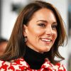 Princess Kate Paint By Numbers