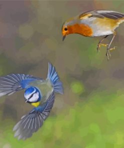 Robin And Blue Tit Paint By Number