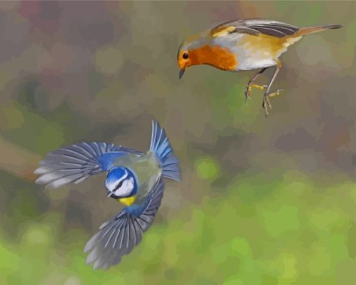 Robin And Blue Tit Paint By Number