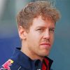 Sebastian Vettel Paint By Number