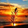 Sunset Feather Silhouette Paint By Number