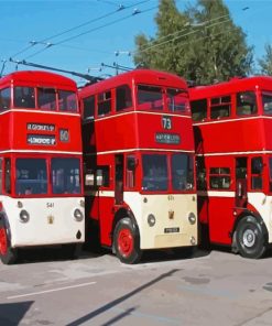 The Trolleybuses Paint By Numbers