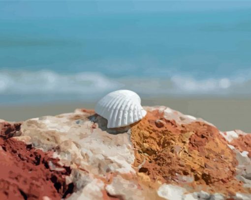 White Shell On Rock Paint By Number