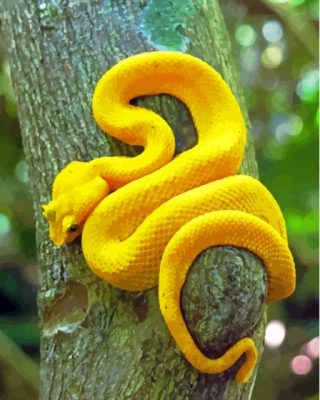 Yellow Snake Viper Paint By Number