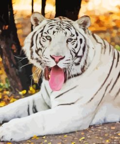 Albino Tiger Paint By Numbers