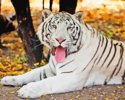 Albino Tiger Paint By Numbers