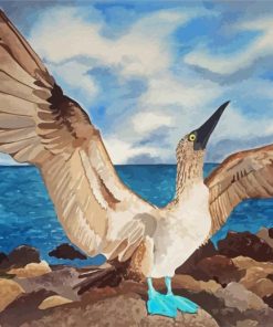 Blue Footed Boobie Paint By Number