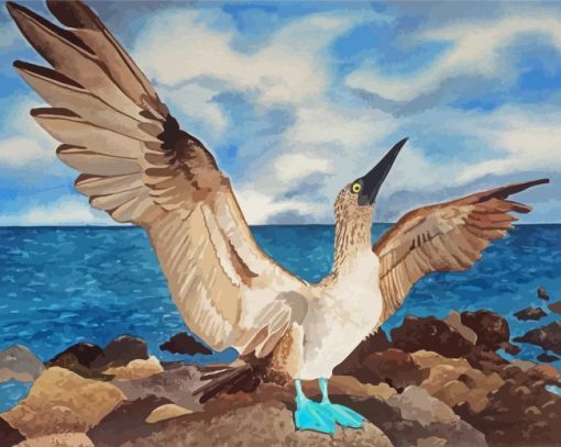 Blue Footed Boobie Paint By Number