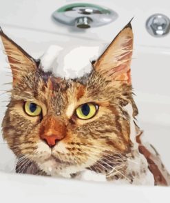 Cat In Shower Paint By Number