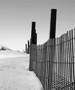 Chincoteague Beach Paint By Number