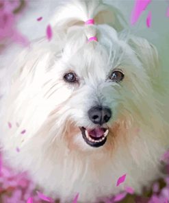 Cute Cotton Tulear Paint By Numbers