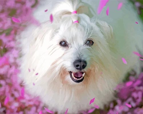 Cute Cotton Tulear Paint By Numbers