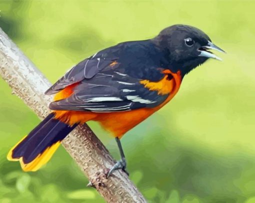 Cute Orchard Oriole Paint By Number