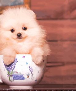 Cute Teacup Dog Paint By Numbers