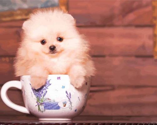 Cute Teacup Dog Paint By Numbers