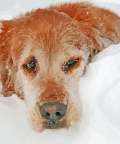 Dog In Snow Paint By Number