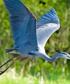 Flying Blue Crane Paint By Numbers