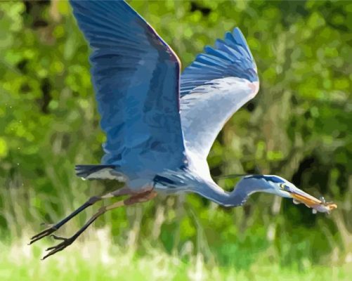 Flying Blue Crane Paint By Numbers