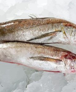 Frozen Hake Fishes Paint By Number