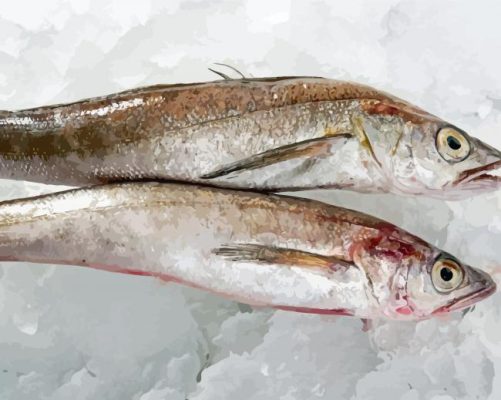 Frozen Hake Fishes Paint By Number