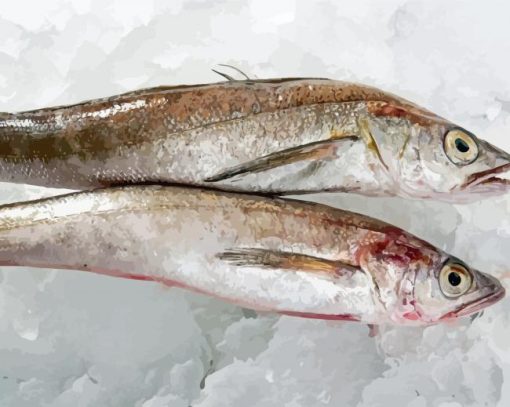 Frozen Hake Fishes Paint By Number