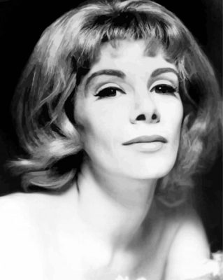 Joan Rivers Paint By Numbers