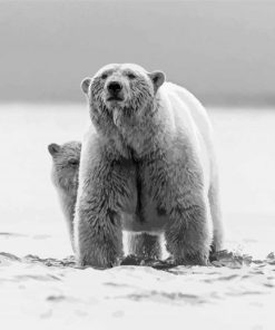 Mom And Baby Bear Paint By Numbers