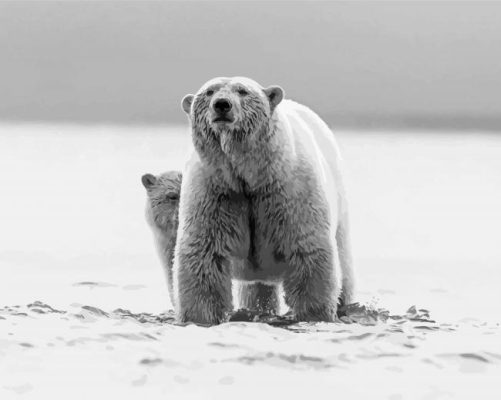 Mom And Baby Bear Paint By Numbers