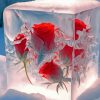 Red Frozen Roses Paint By Number