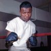 Sugar Ray Robinson Paint By Numbers