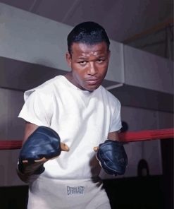 Sugar Ray Robinson Paint By Numbers