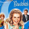 Bewitched Illustration Paint By Number