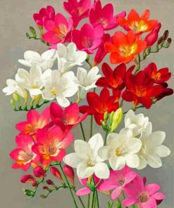 Blooming Freesia Flowers Paint By Number