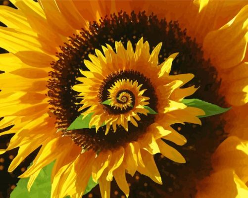 Blooming Spiral Sunflower Paint By Number