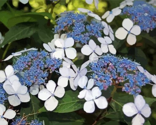 Bluebird Hydrangeas Paint By Numbers