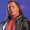 Bret Hart Paint By Numbers