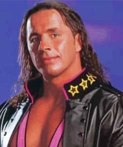 Bret Hart Paint By Numbers