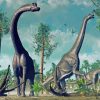 Brontosaurus Dinosaurs Paint By Number