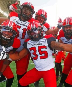 Calgary Stampeders Paint By Number