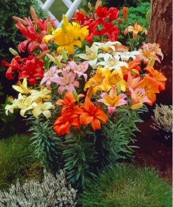 Colorful Lilies Paint By Number