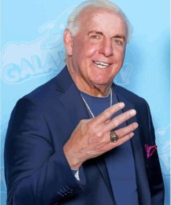 Ric Flair Wrestler Paint By Number