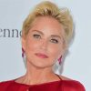 Sharon Stone Paint By Number