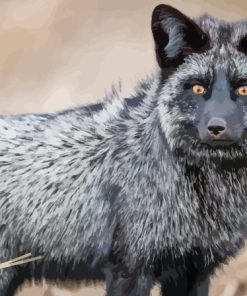 Silver Fox Animal Paint By Number