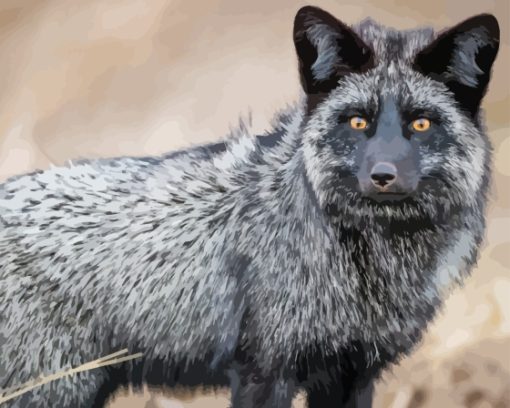 Silver Fox Animal Paint By Number