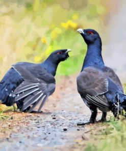 Two Western Capercaillie Paint By Number