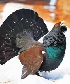 Western Capercaillie Paint By Number