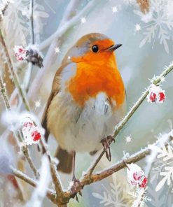 Winter Robin Paint By Number