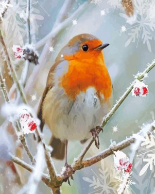 Winter Robin Paint By Number