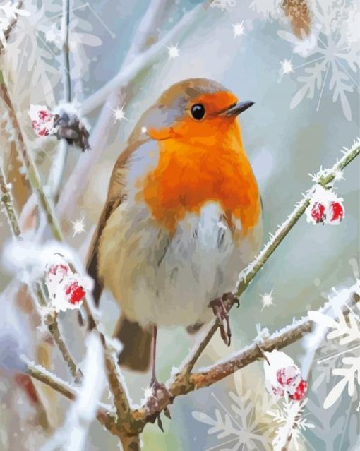 Winter Robin Paint By Number