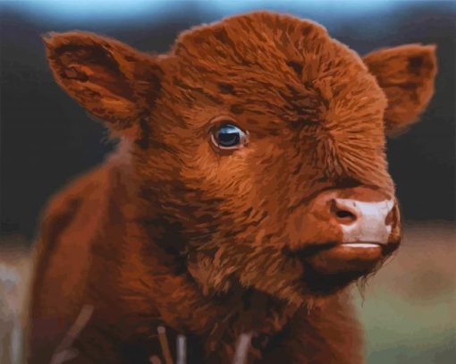 Baby Brown Cow Paint By Number